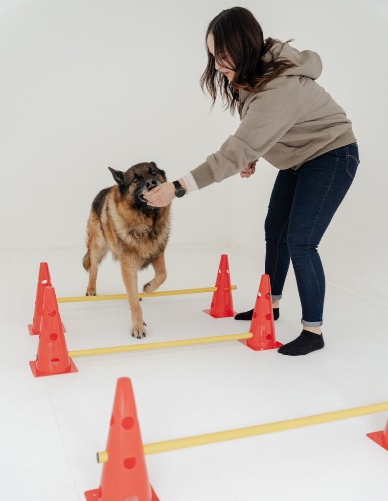 Pfotenwerkt Hundesport