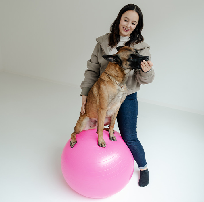 Aktive Physiotherapie bei Hunden