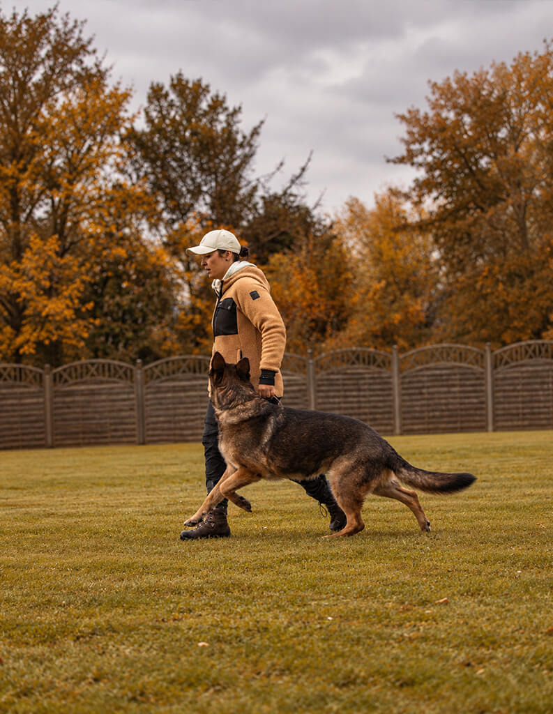 Hundeführerin Hannah Englert trainiert mit einem Schäferhund auf einer Wiese